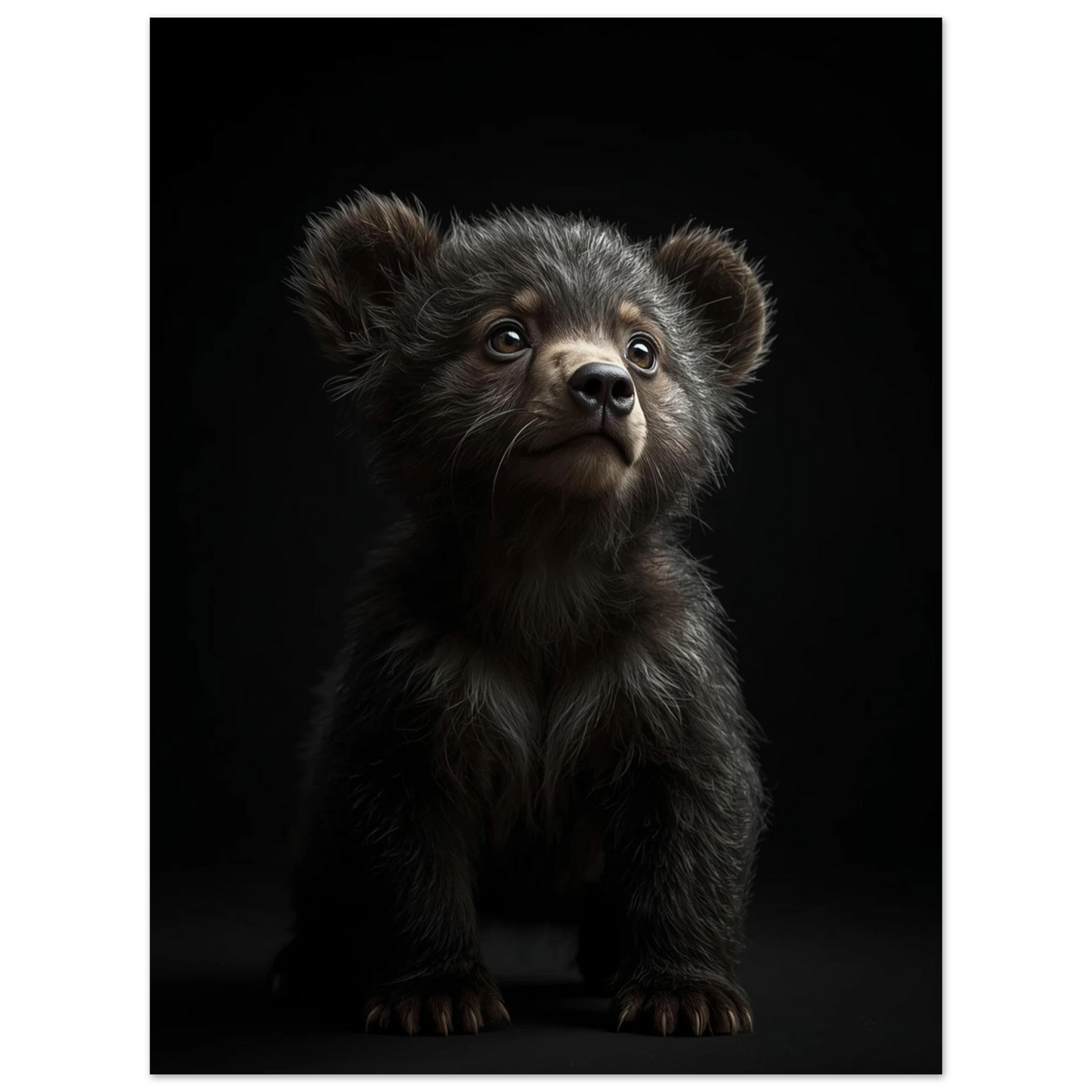 Björnunge med mjuk päls och uttrycksfulla ögon, sittande mitt på bilden – Fotorealistisk poster