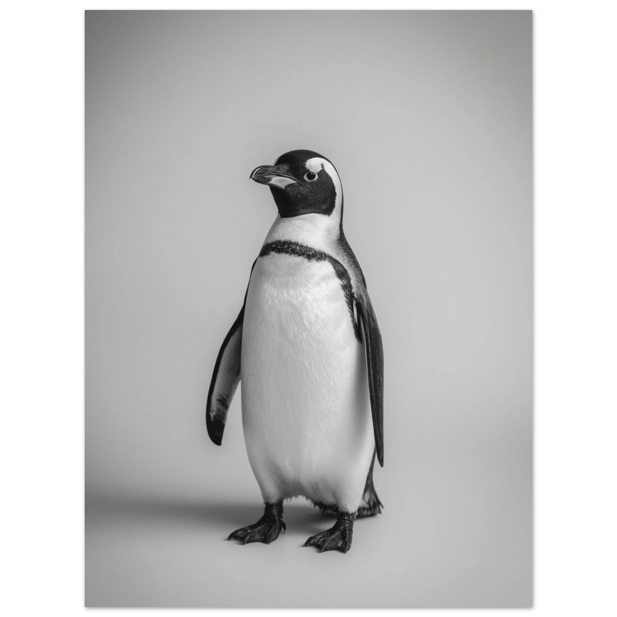 Fotorealistiskt print av en pingvin med detaljerad fjäderdräkt i gråskala