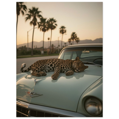 Filmisk djurposter föreställande en leopard i en tropisk stadsmiljö