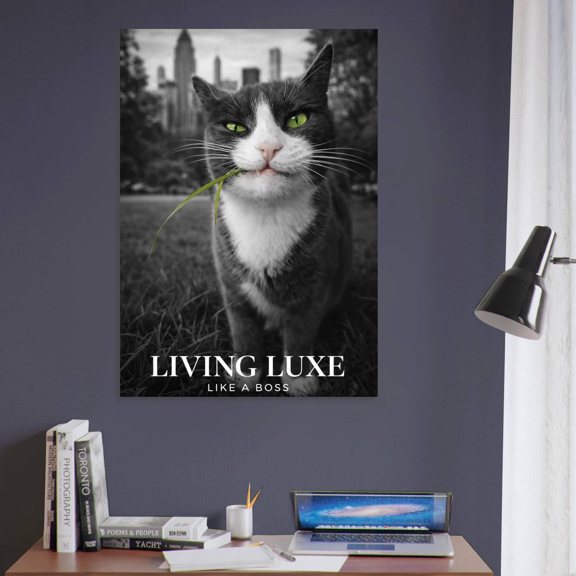 Kaxig katt i New York-liknande miljö med urban känsla – Fotorealistisk poster
