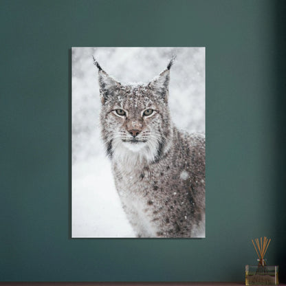 Stämningsfullt motiv av ett lodjur i vinterlandskap – Fotorealistisk poster