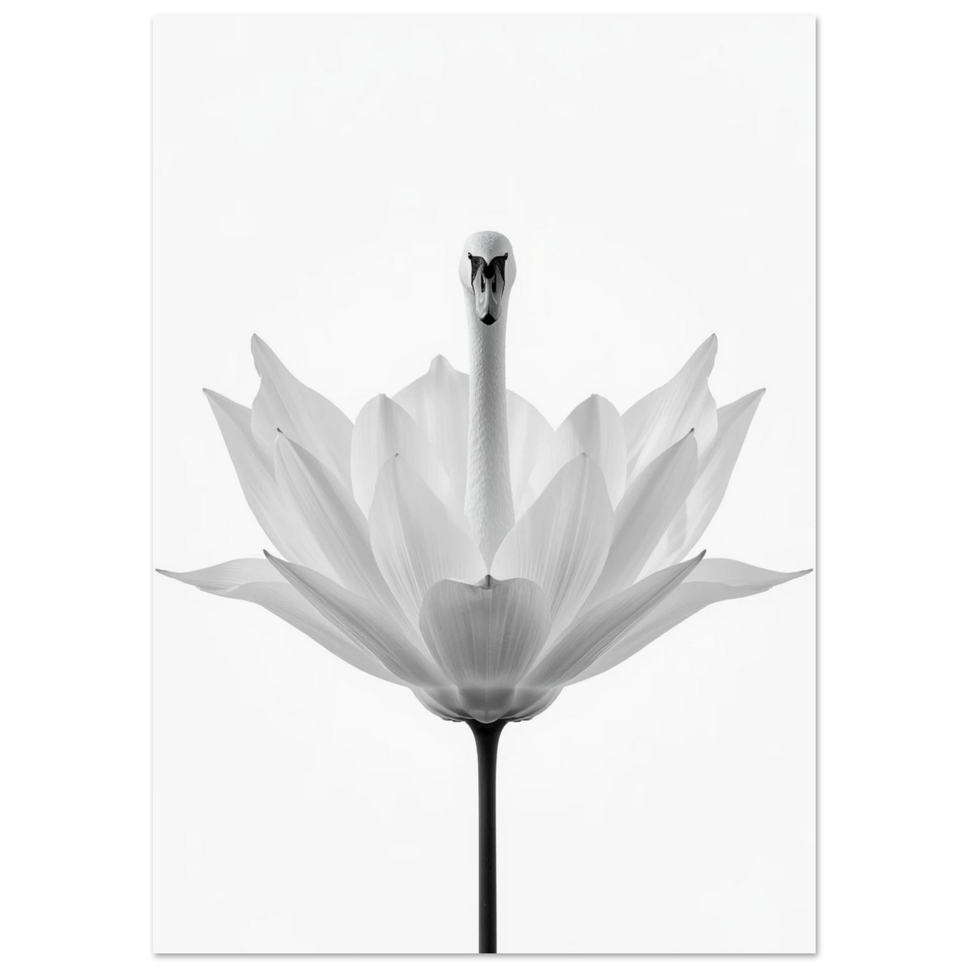 Närbild av en svanhals i en lotusblomma, elegant fotokonst för vardagsrum