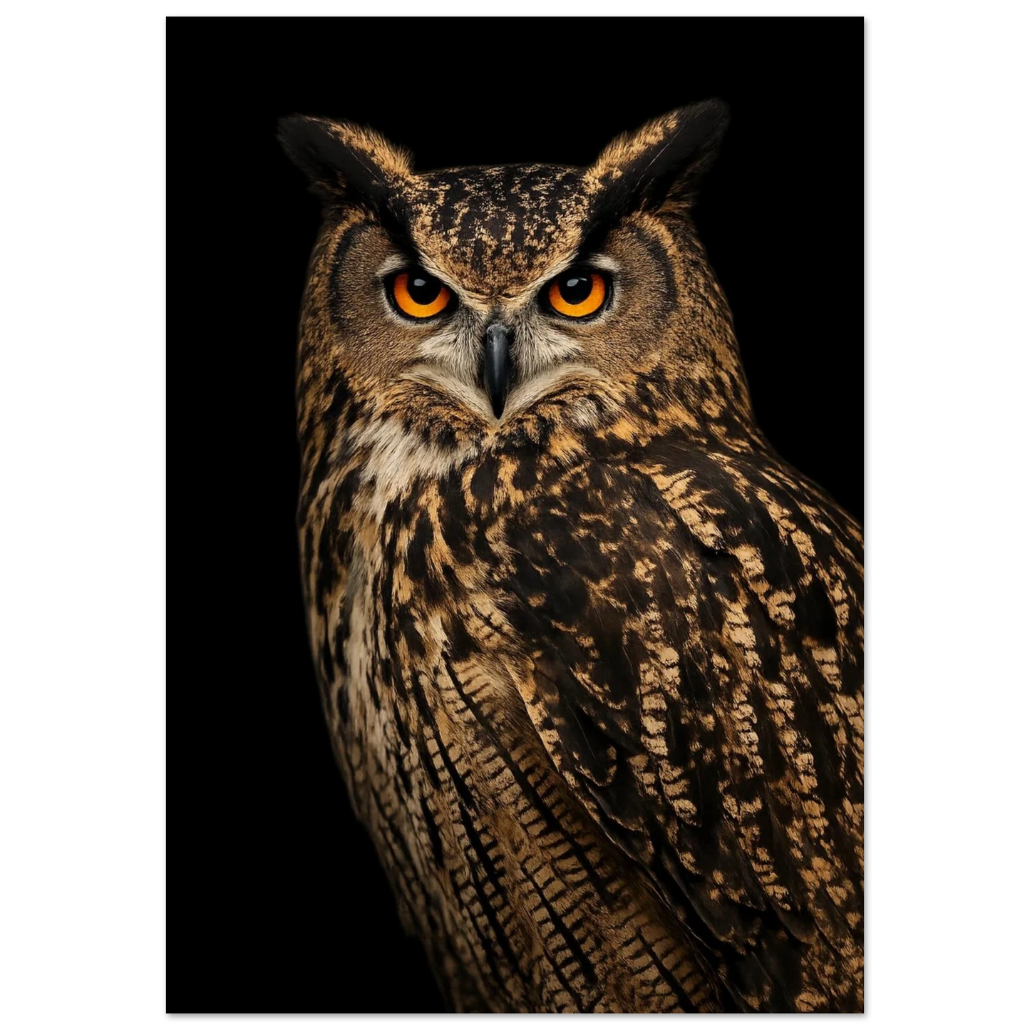 Berguv med orange ögon i närbild mot svart bakgrund framifrån – Fotorealistisk poster
