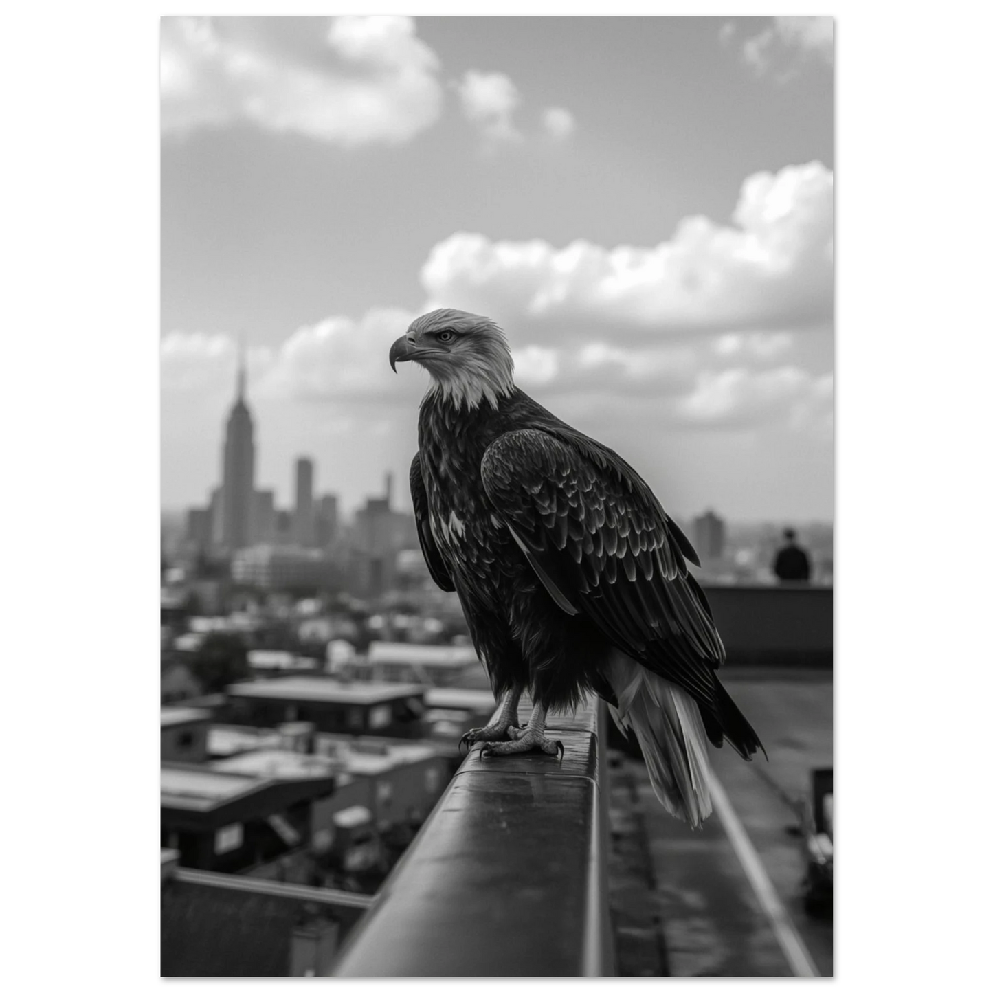 Svartvit fotoposter av en vithövdad havsörn på ett hustak i New York