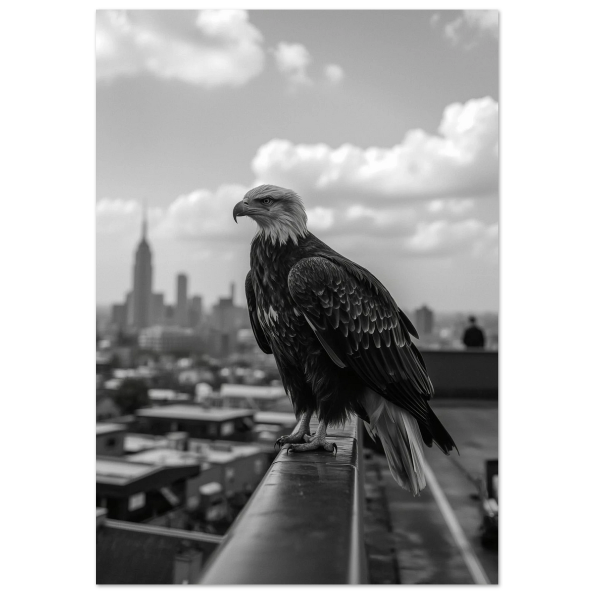 Svartvit fotoposter av en vithövdad havsörn på ett hustak i New York