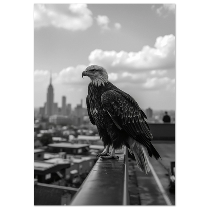 Svartvit fotoposter av en vithövdad havsörn på ett hustak i New York
