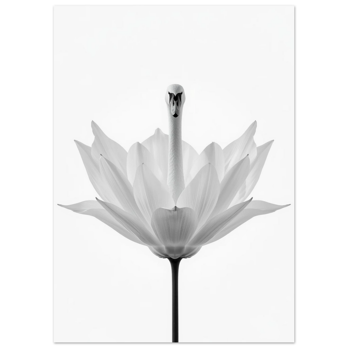 Konstnärligt svanmotiv i vitt och grått med minimalistisk blomdetalj, stilren tavla