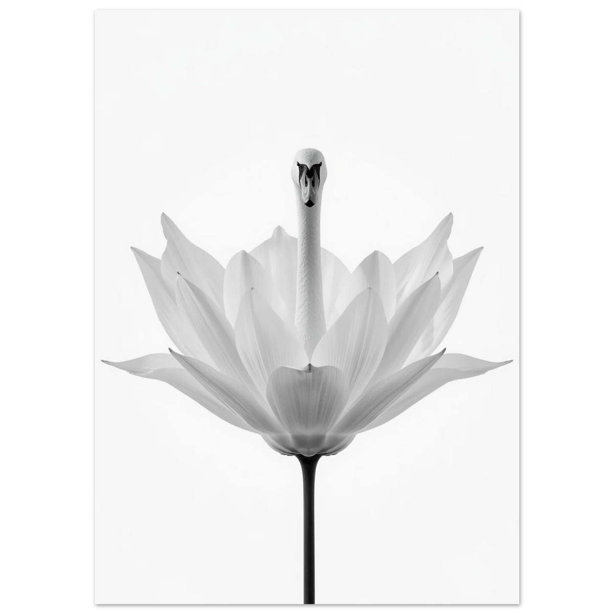 Konstnärligt svanmotiv i vitt och grått med minimalistisk blomdetalj, stilren tavla