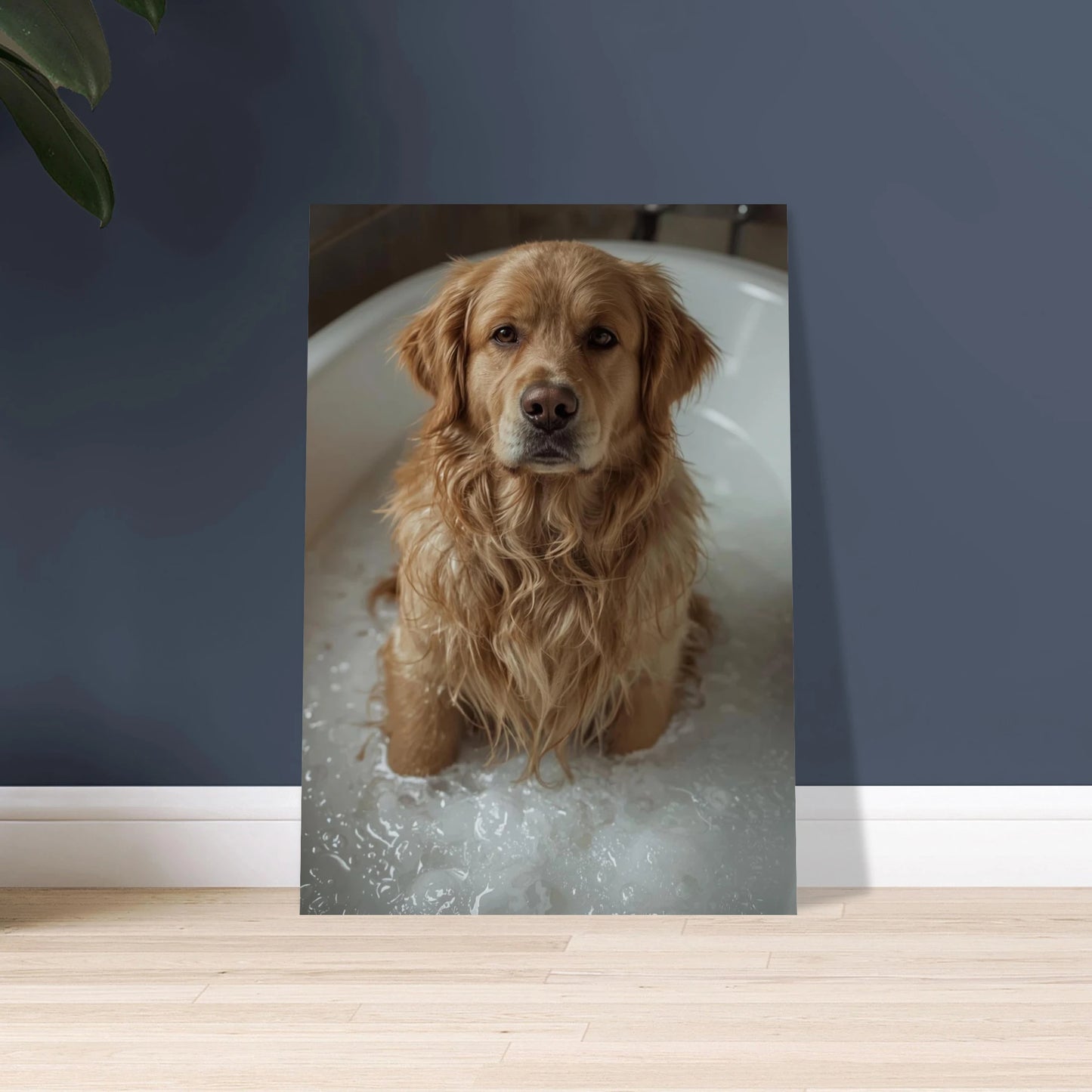 Golden retriever i badkar med bubblor, uttrycksfull blick