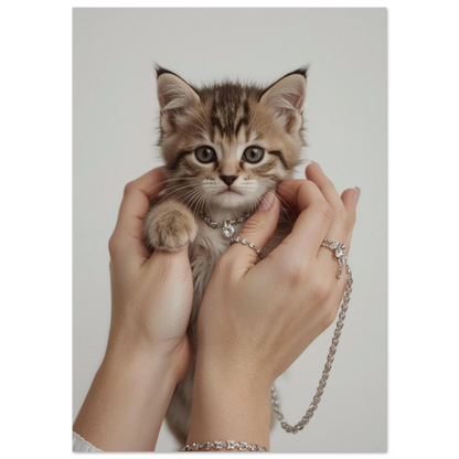 Kattunge med stora ögon och glittrande halsband på mörk bakgrund