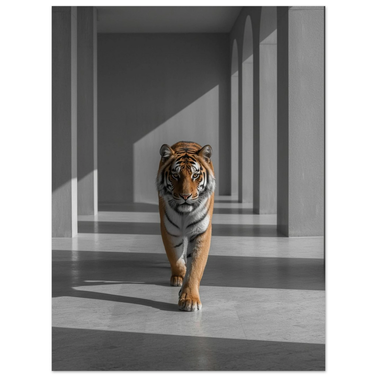 Detaljbild på tiger i rörelse genom en grå korridor med skuggor – Fotorealistisk poster