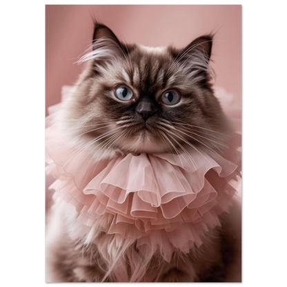 Närbild på perserkatt med blå ögon och rosa volangkrage – väggkonst