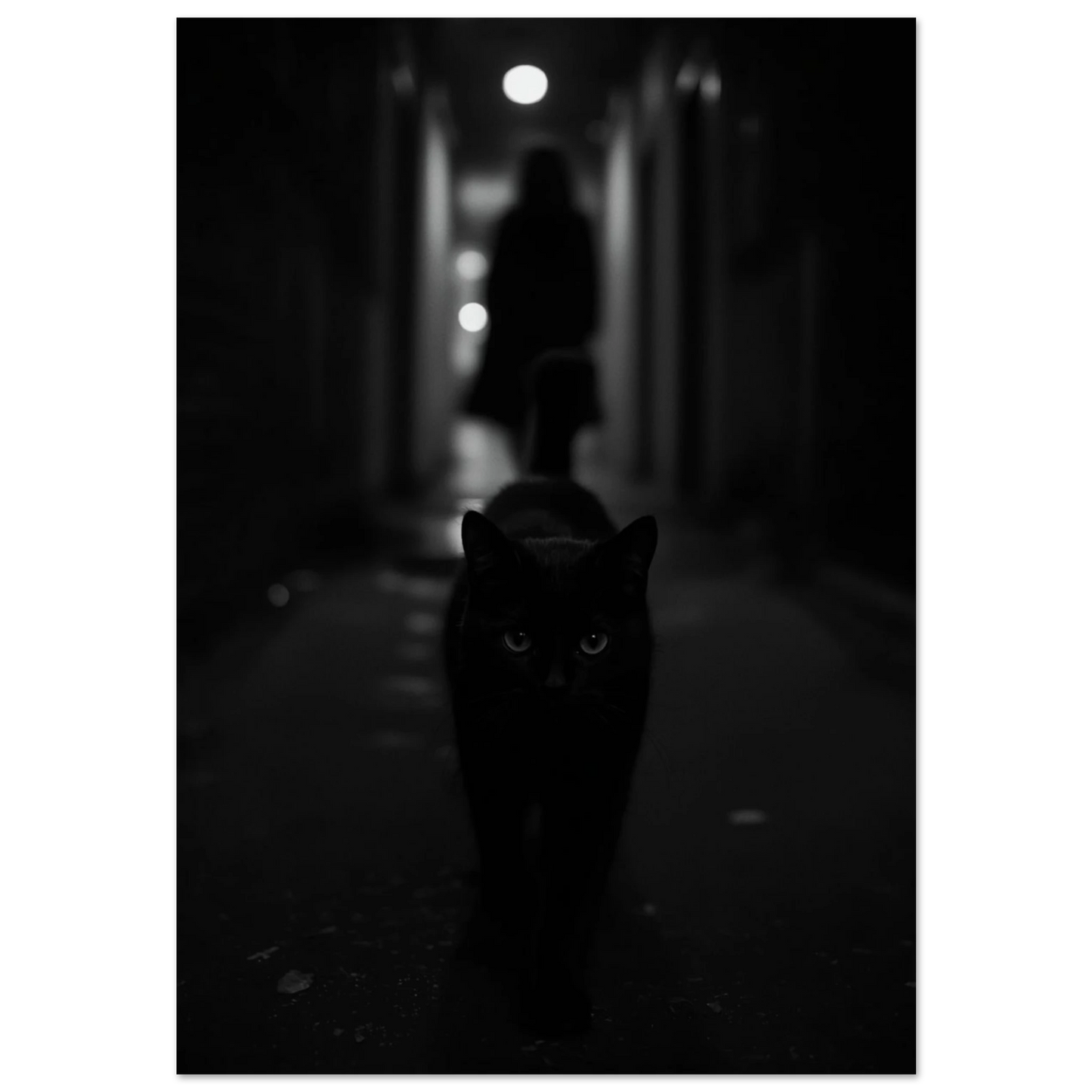 Svart katt vandrar i mörk gränd med lysande ögon, fotokonst