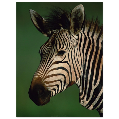 Elegant zebraliknande mönster i naturligt ljus – Fotorealistisk poster