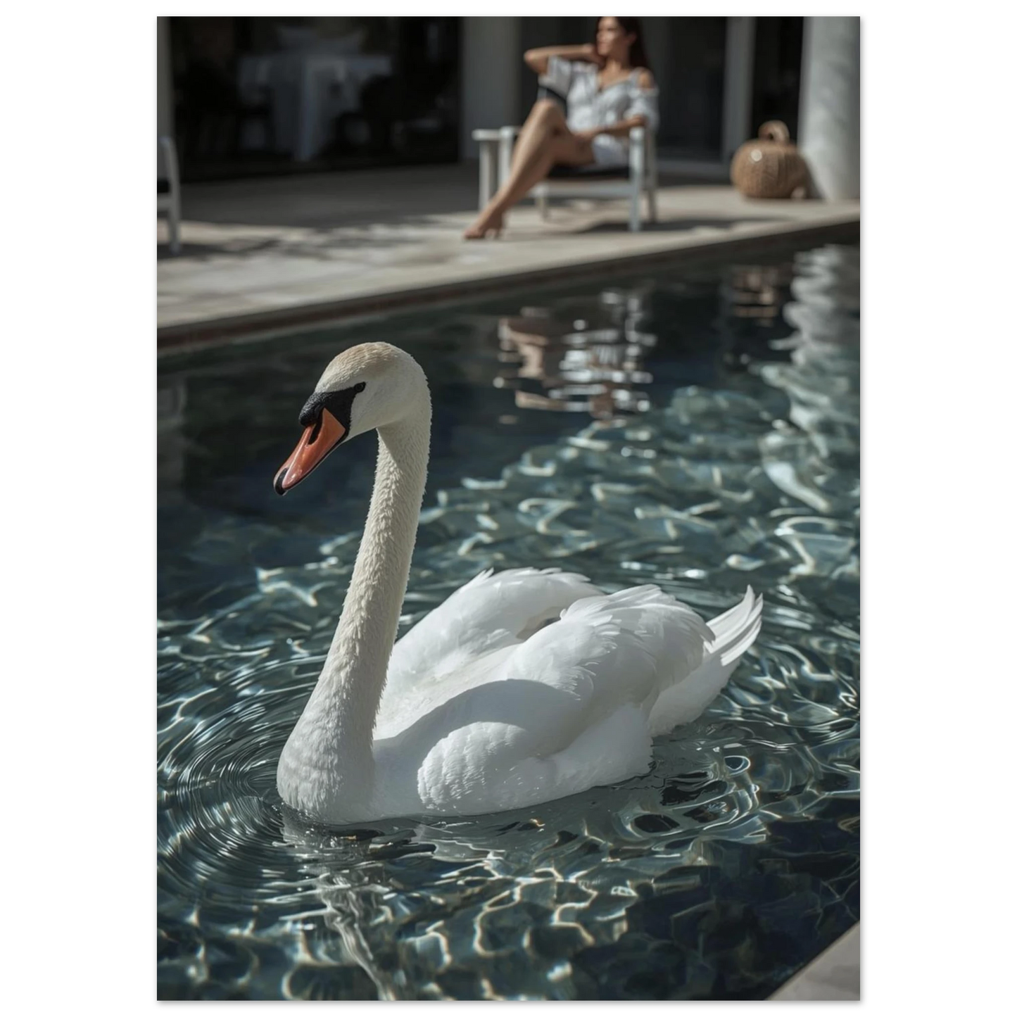 Närbild av en svan i en pool med turkosa vattenspeglingar