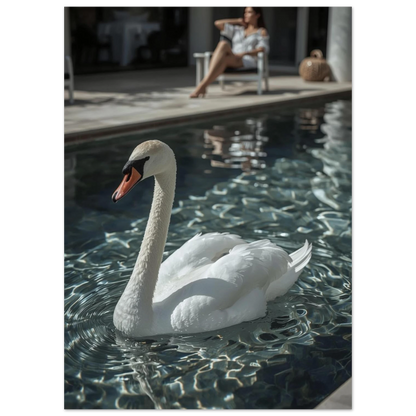 Närbild av en svan i en pool med turkosa vattenspeglingar