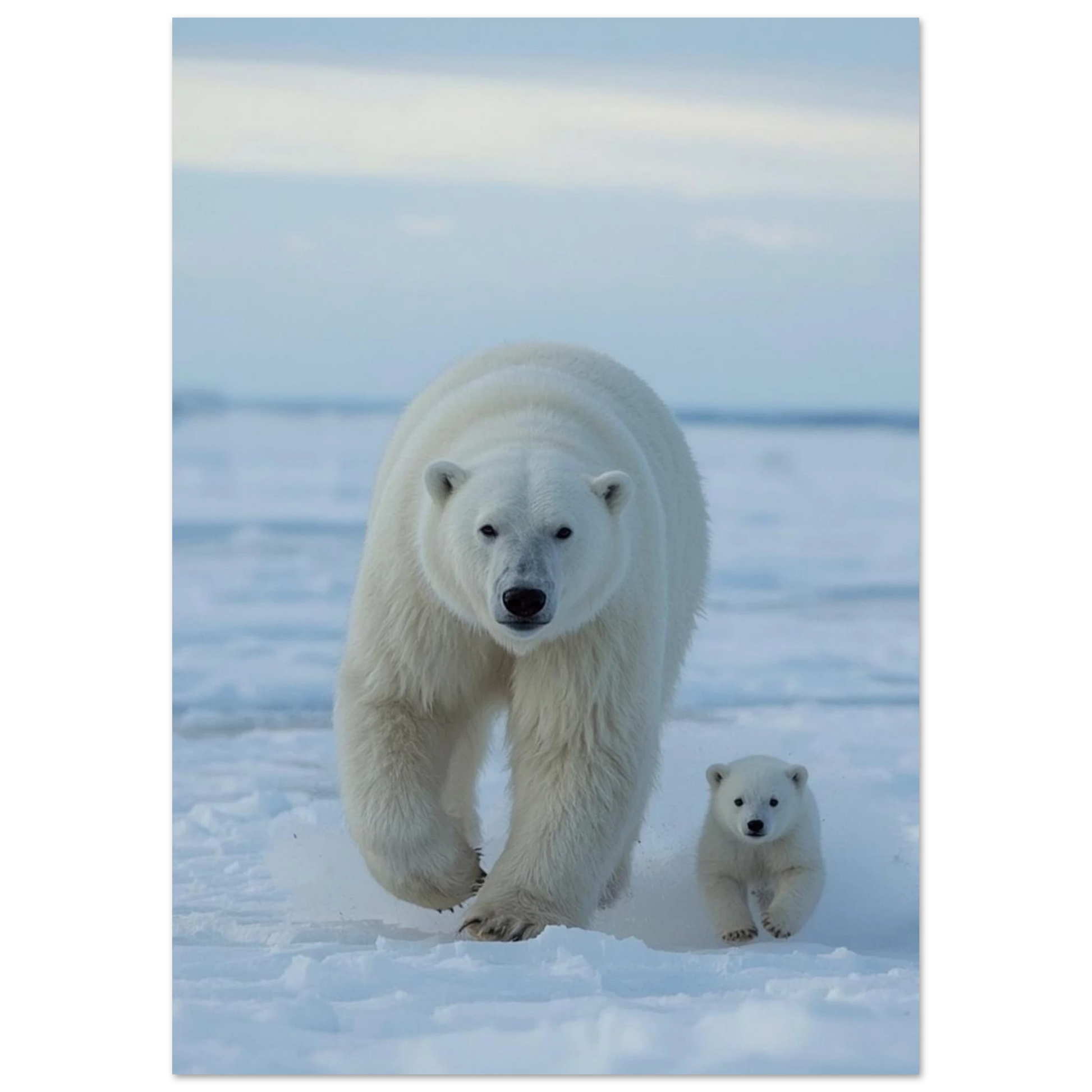 Närbild på en isbjörnsmamma och hennes lilla unge som går sida vid sida i snölandskap – Fotorealistisk Poster