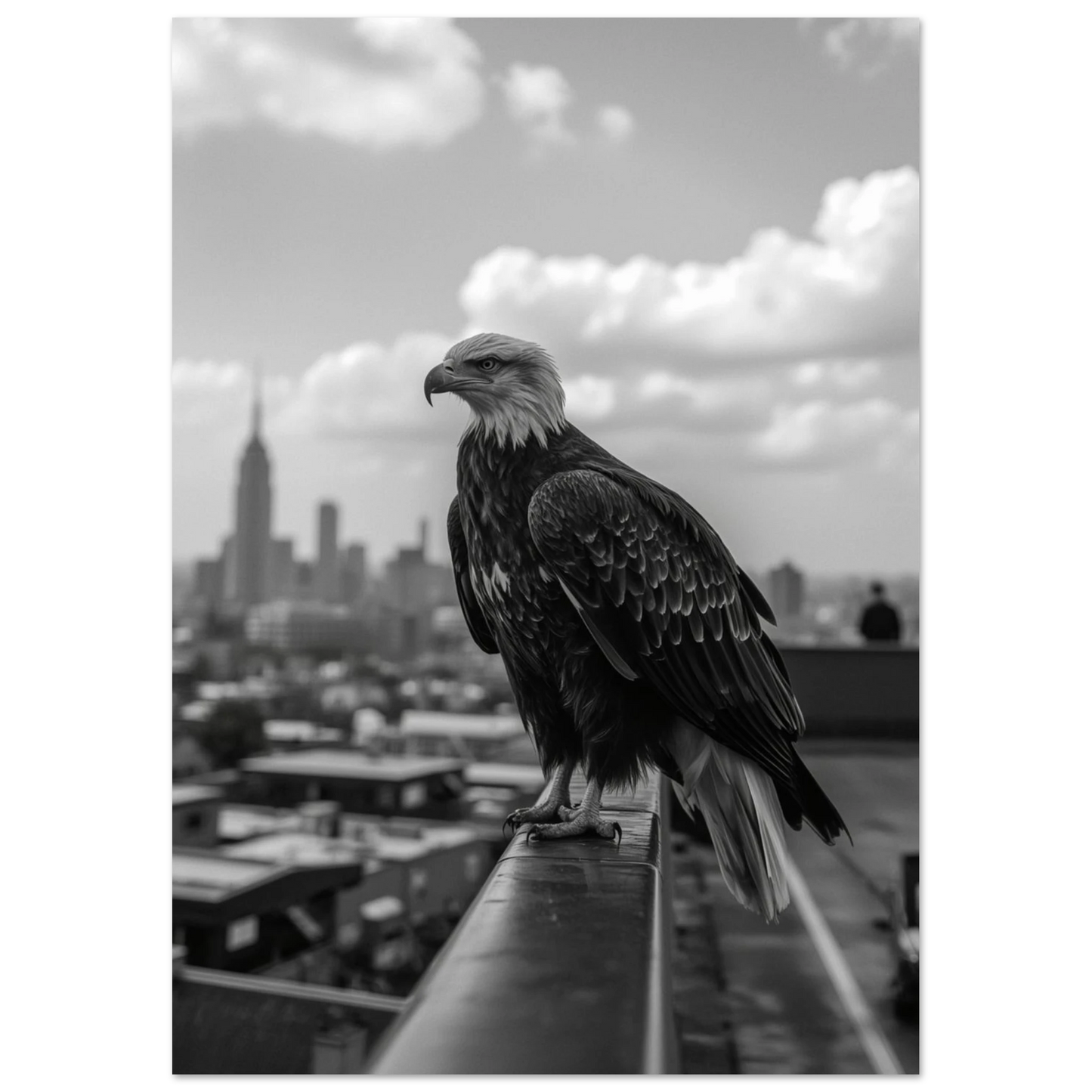Vithövdad havsörn i urban miljö med Empire State Building i bakgrunden