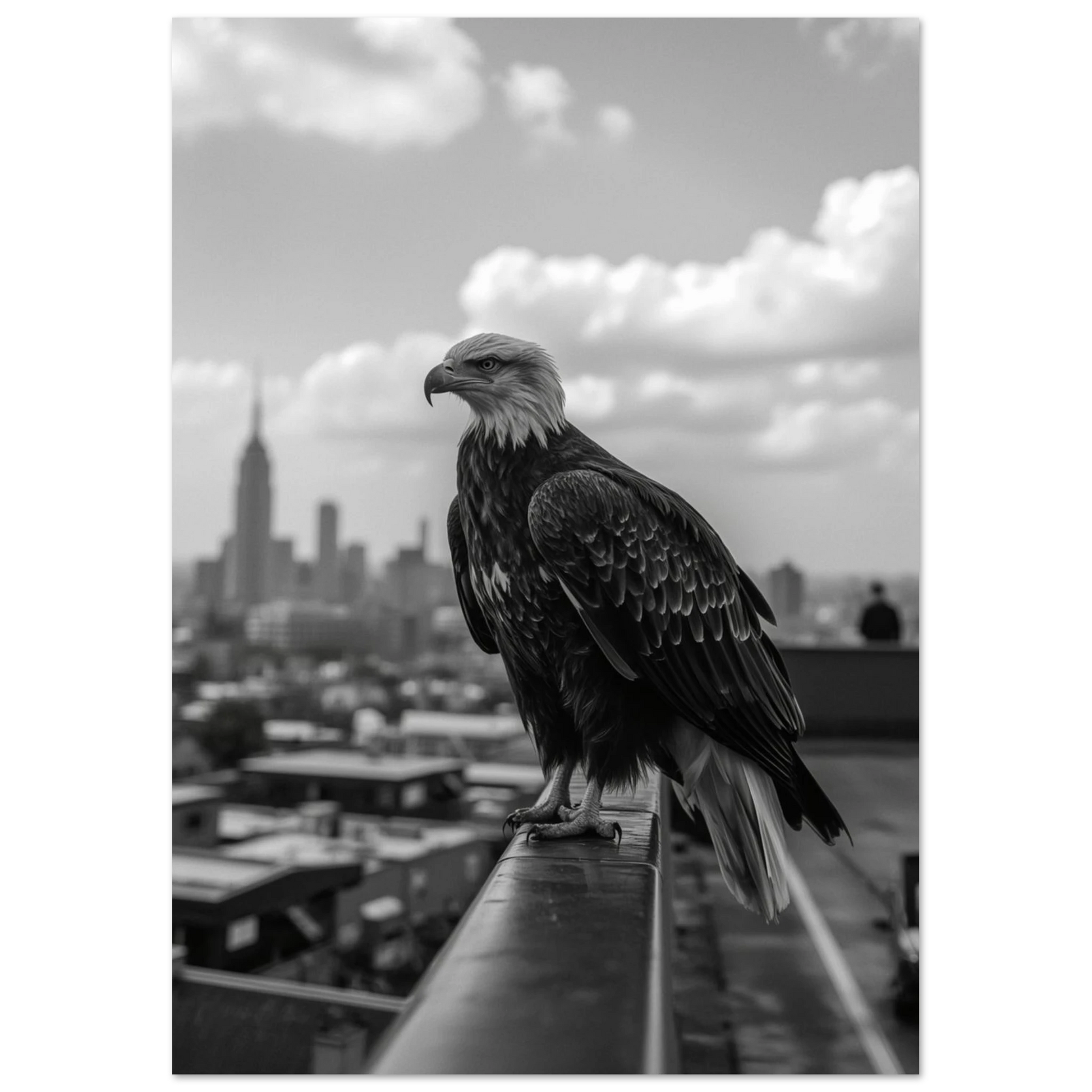 Vithövdad havsörn i urban miljö med Empire State Building i bakgrunden