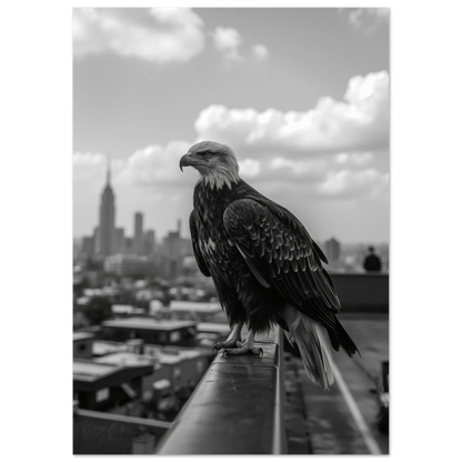 Vithövdad havsörn i urban miljö med Empire State Building i bakgrunden