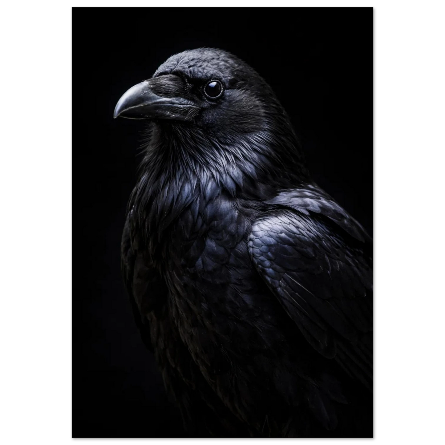 Detaljbild av en korp med mörkt majestätiskt utseende, vänd åt vänster – Fotorealistisk poster