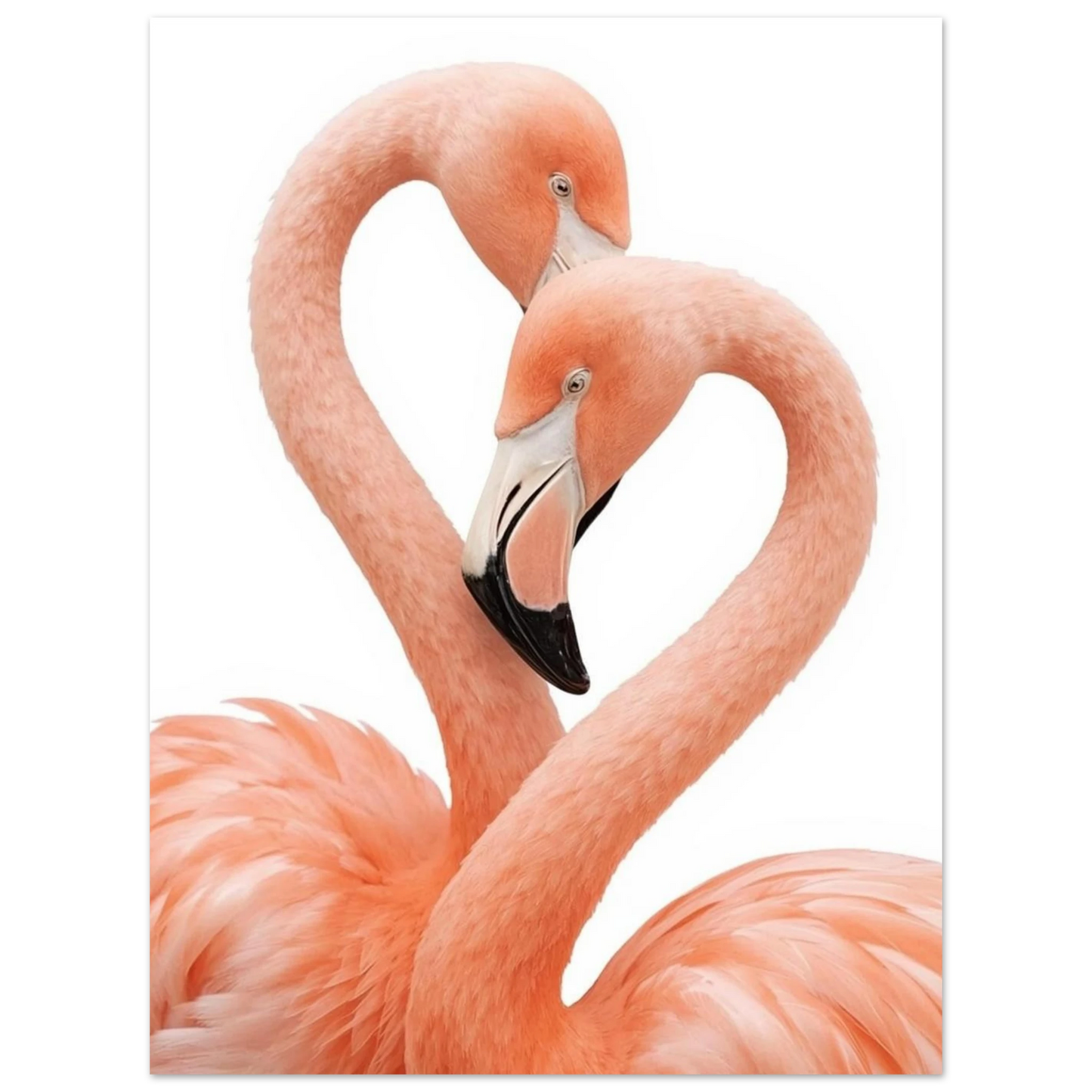 Minimalistiskt djurmotiv med flamingor i en hjärtformad siluett, print