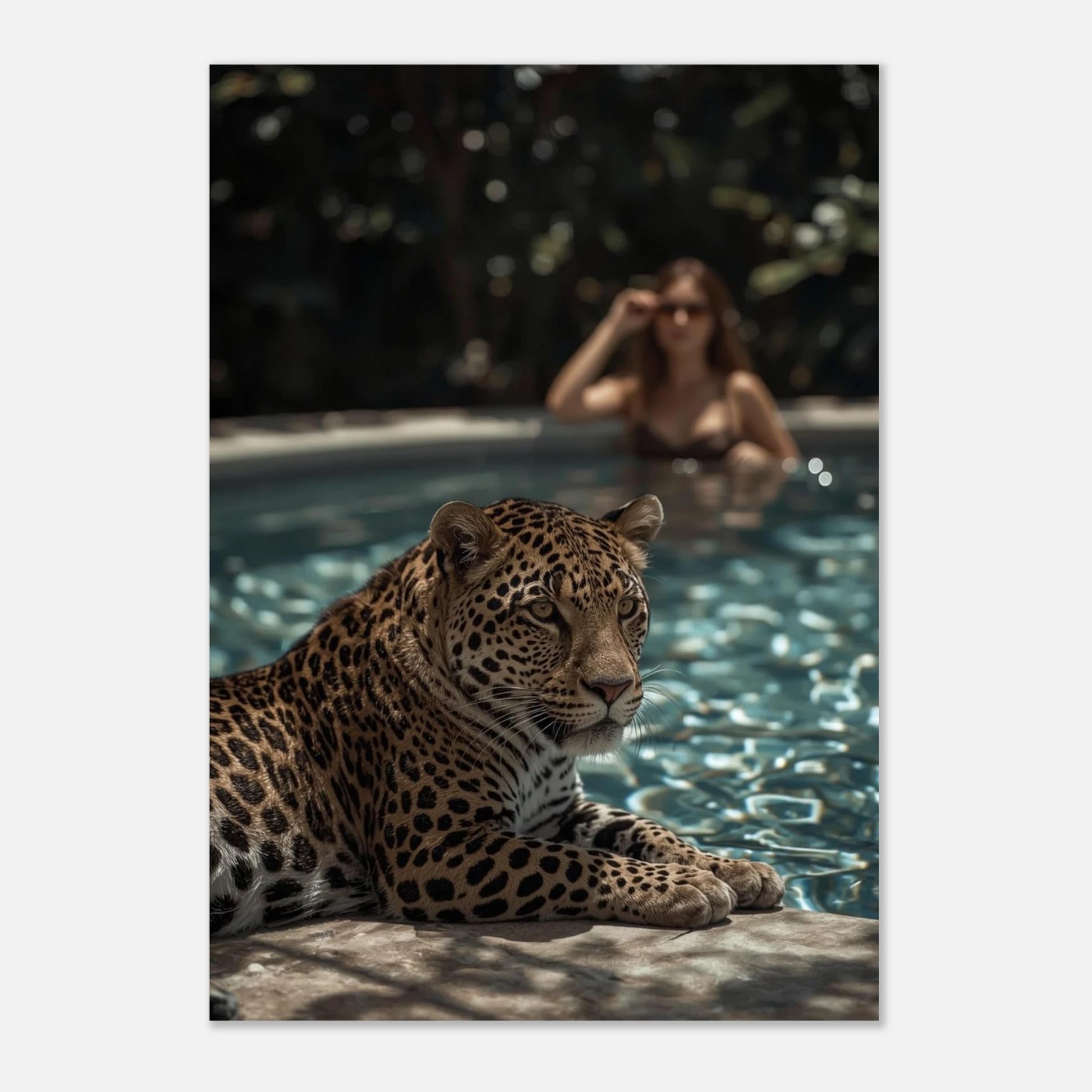 Leopardens lugna blick fångad i en elegant och modern miljö – poster