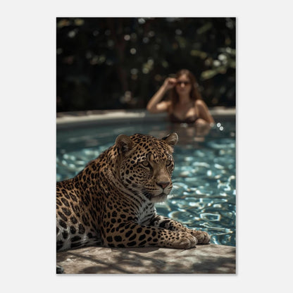 Leopardens lugna blick fångad i en elegant och modern miljö – poster