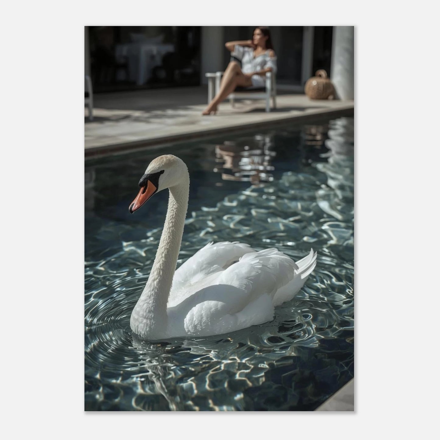 Stilren djurposter med en vit svan i en modern poolmiljö