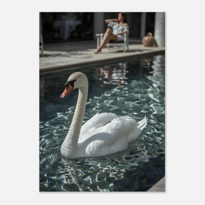 Stilren djurposter med en vit svan i en modern poolmiljö