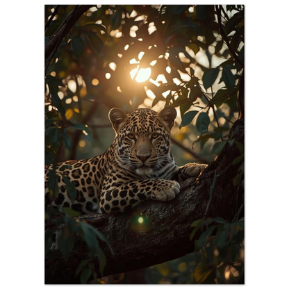 Närbild av leopardens ansikte i mjukt solljus – vildmarksinspirerad djurtavla