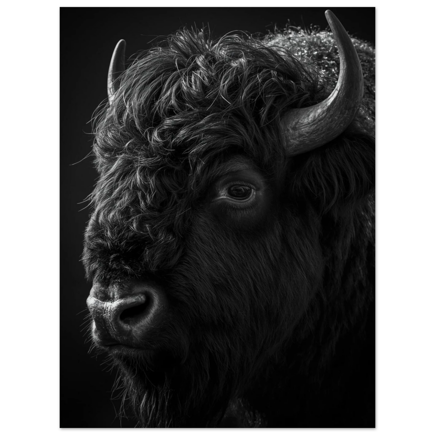 Kraftfull bisonoxe porträtterad mot svart bakgrund – konstnärlig djurtavla