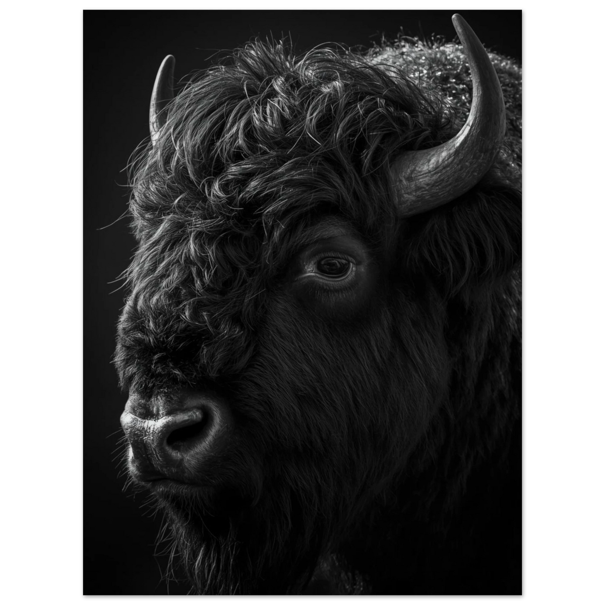 Kraftfull bisonoxe porträtterad mot svart bakgrund – konstnärlig djurtavla