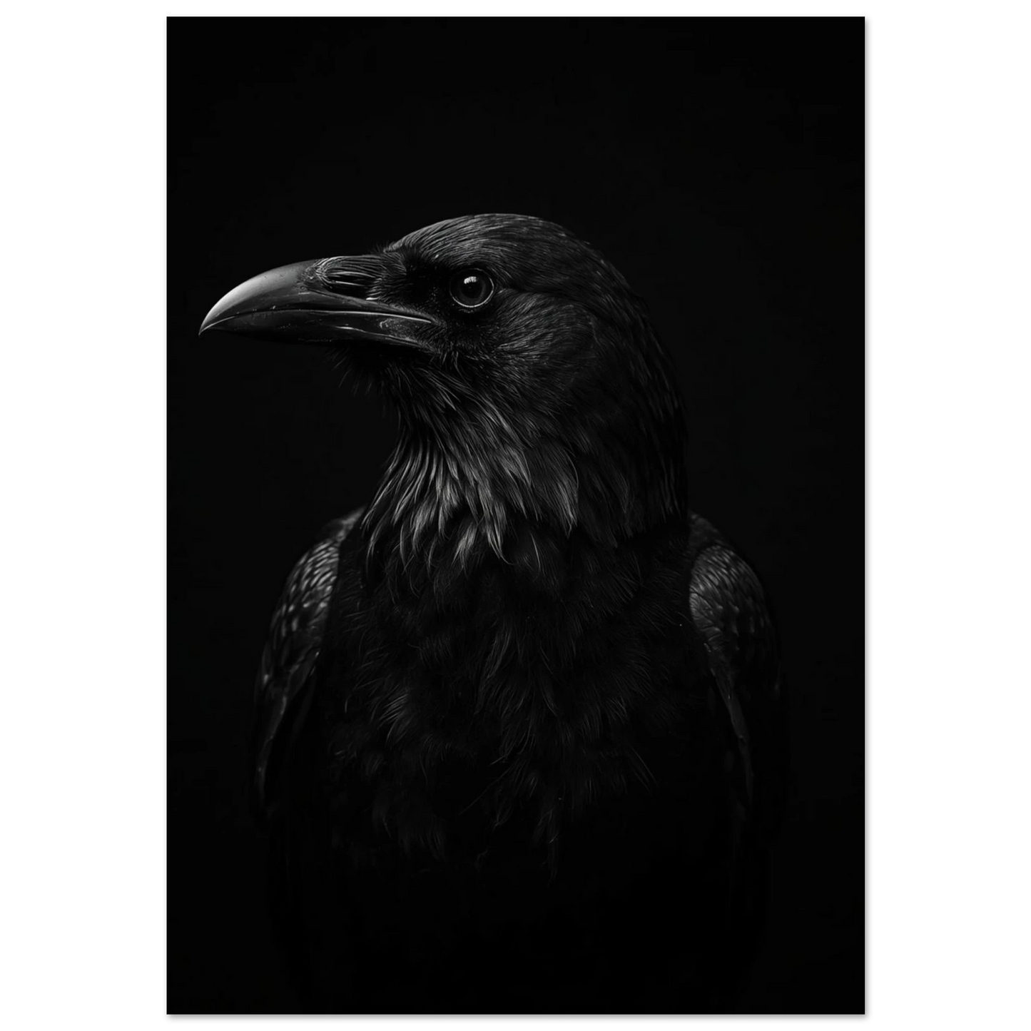 Närbild på korp i profil mot svart bakgrund, mörk fotokonst