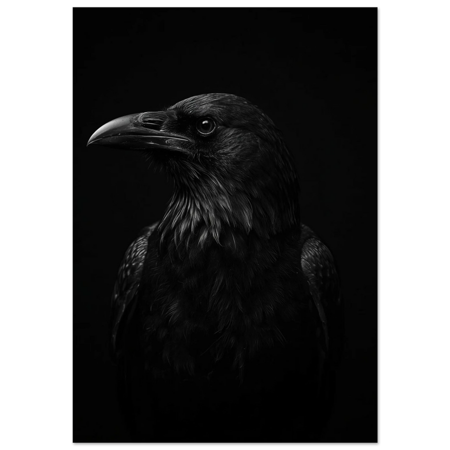 Närbild på korp i profil mot svart bakgrund, mörk fotokonst
