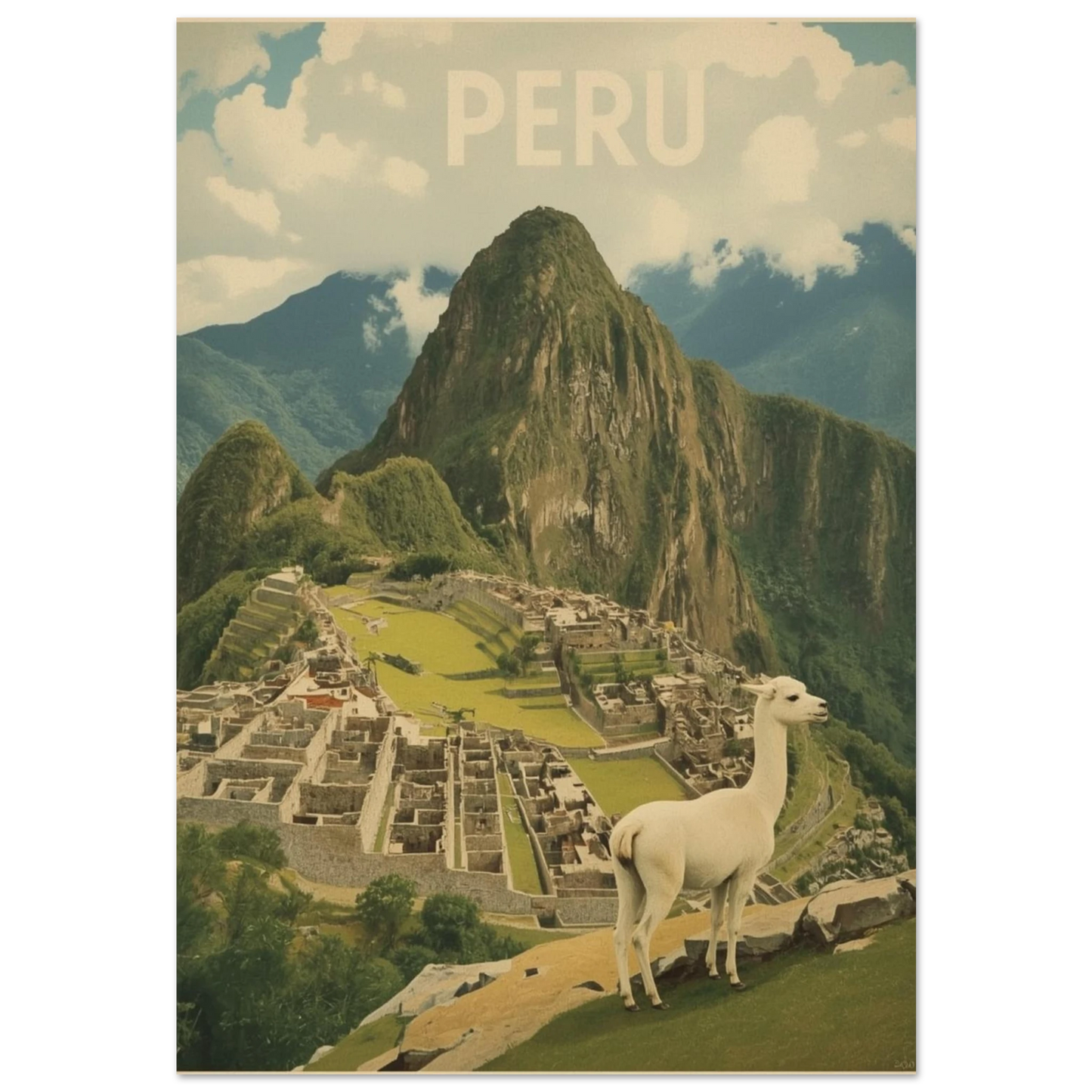 Vit lama framför Machu Picchu i Peru, vintageinspirerad djurposter med svart ram