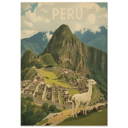 Vit lama framför Machu Picchu i Peru, vintageinspirerad djurposter med svart ram