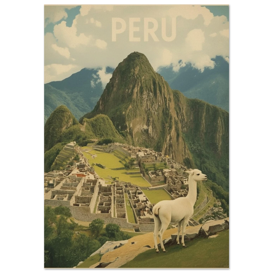 Vit lama framför Machu Picchu i Peru, vintageinspirerad djurposter med svart ram