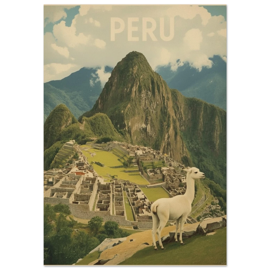 Vit lama framför Machu Picchu i Peru, vintageinspirerad djurposter med svart ram